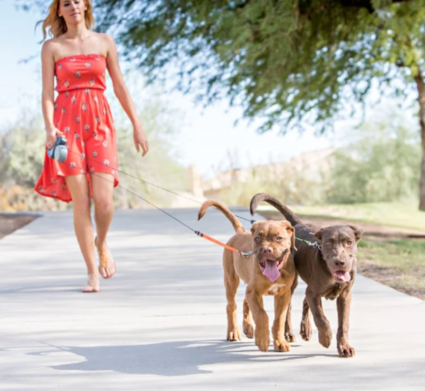 3M Retractable Dual Dog Leash – Walk Two, Tangle-Free